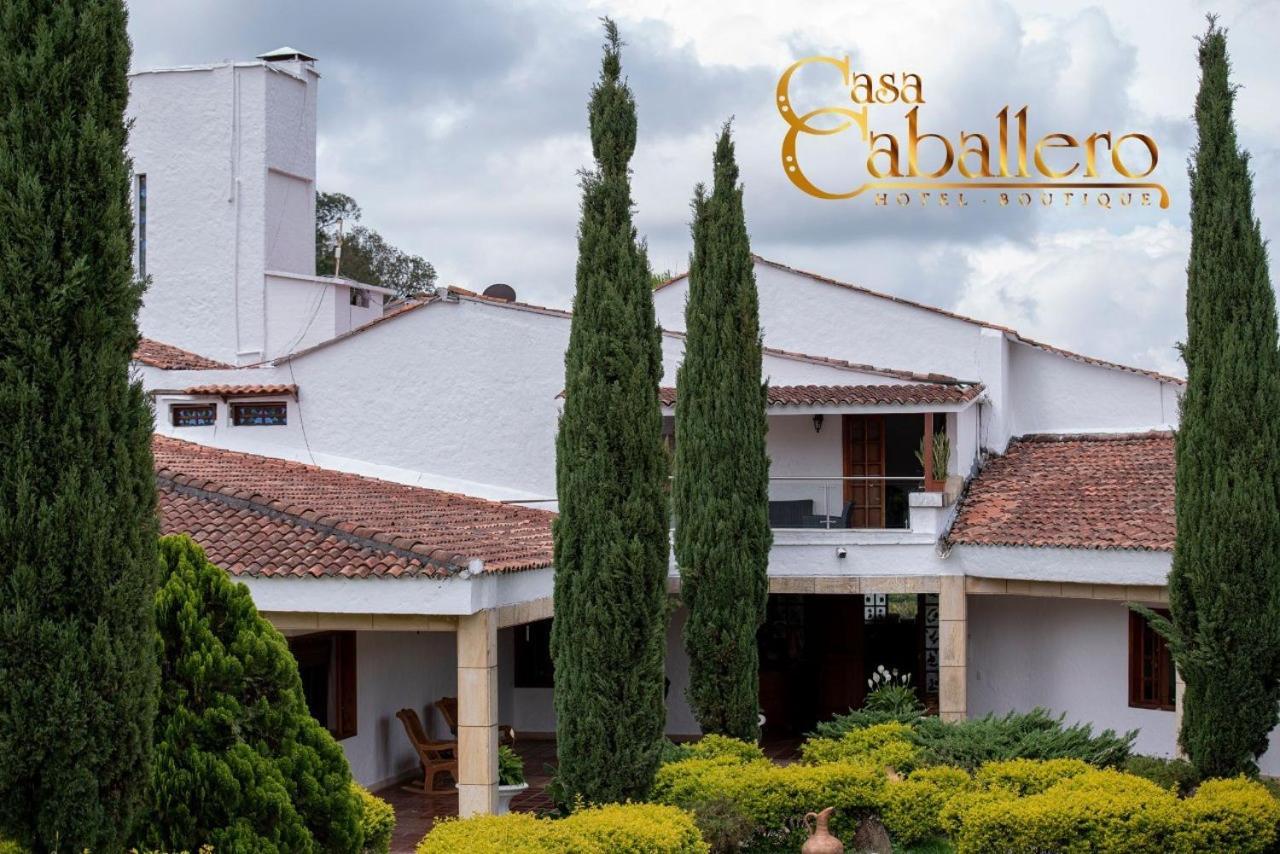 Casa Caballero Boutique 酒店 3*